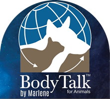 Body Talk – Body Talk and Animal Talk Logo